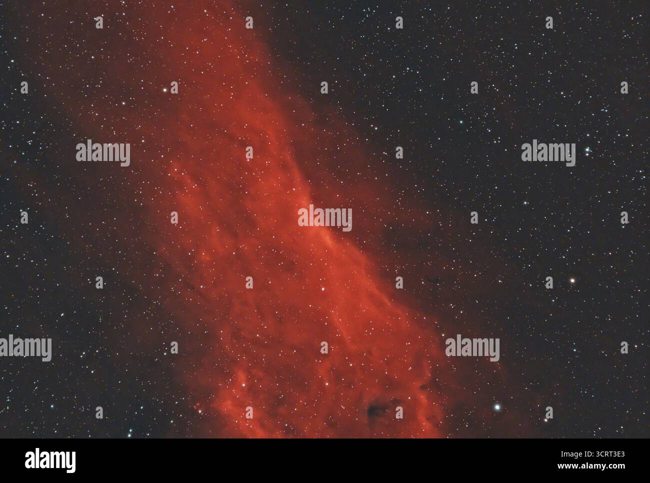 Nebulosa della California (NGC 1499, SH2-220), una nebulosa a emissione situata nella costellazione Perseo Foto Stock