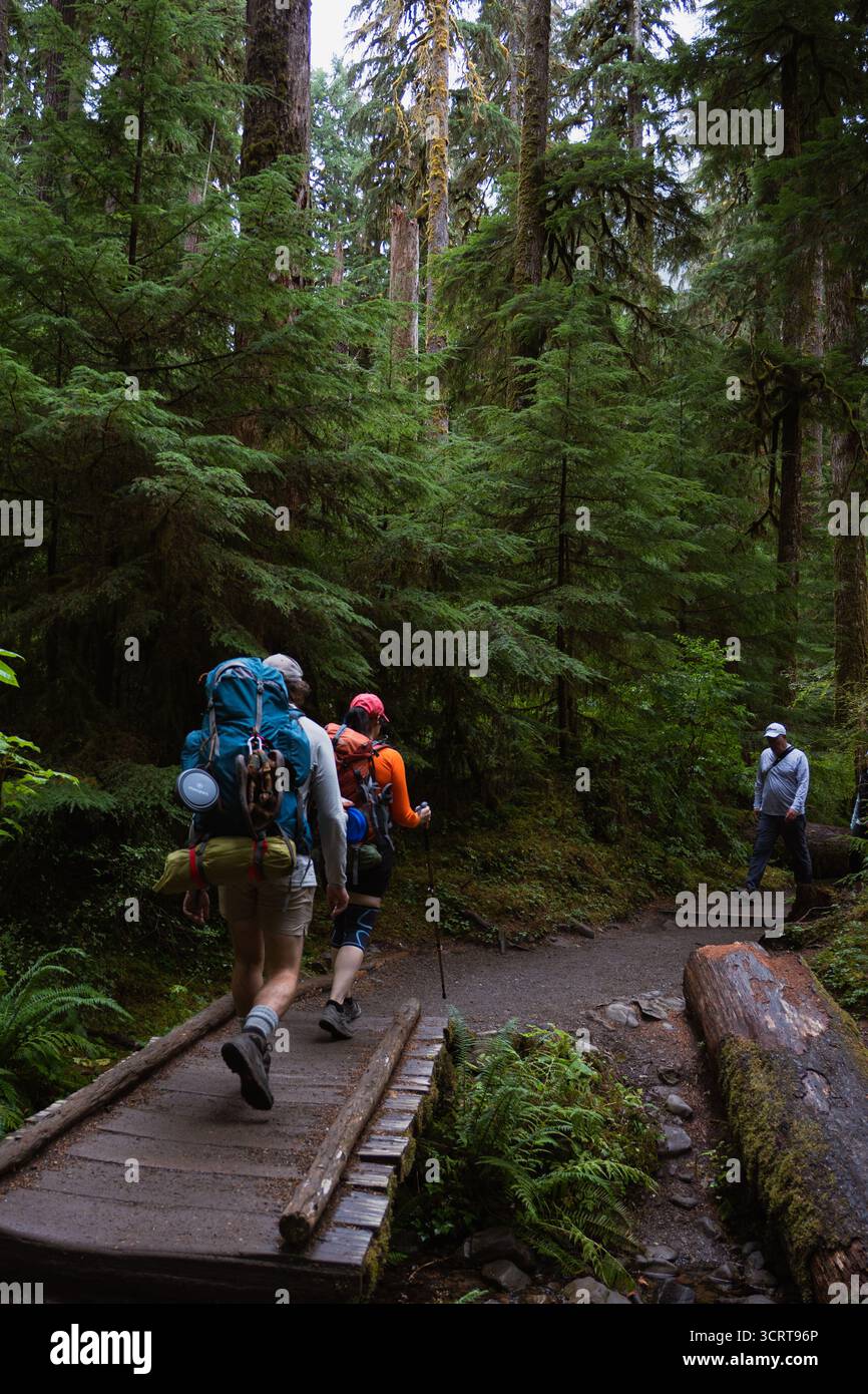 Due escursionisti con grandi zaini che camminano nella foresta selvaggia con avventura all'aperto Foto Stock Due escursionisti con grandi zaini che camminano nella foresta selvaggia con avventura all'aperto Foto Stock