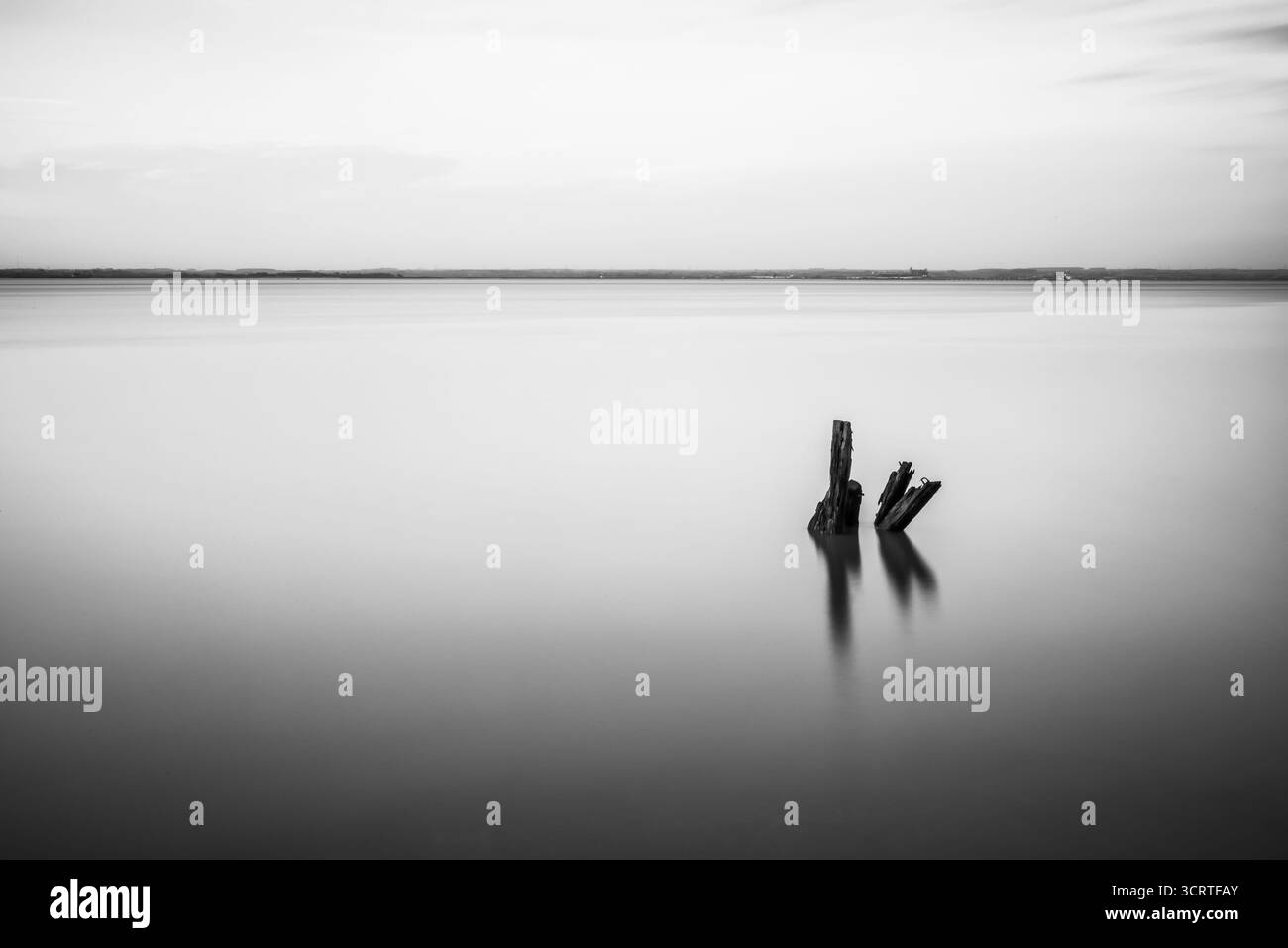Bianco e nero lunga esposizione di pali di legno in acque calme Foto Stock
