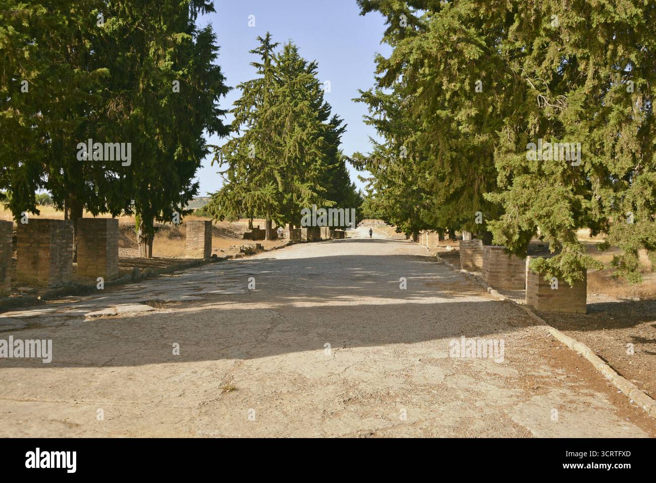 Strade della città romana di Italica, situata nella città di Santiponce nella provincia di Siviglia, Andalusia, Spagna Foto Stock