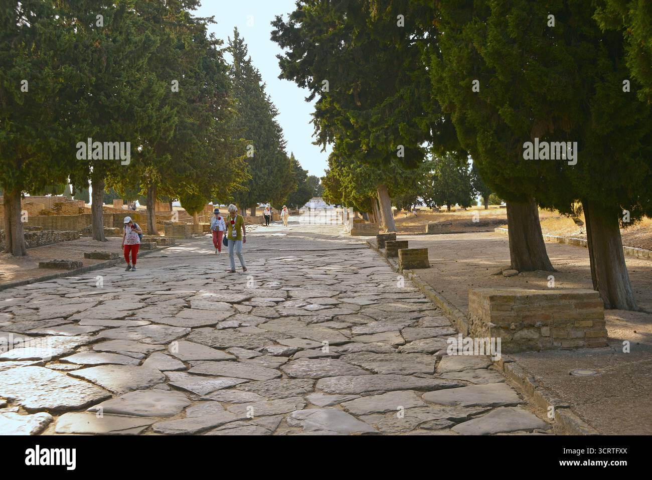 Strade della città romana di Italica, situata nella città di Santiponce nella provincia di Siviglia, Andalusia, Spagna Foto Stock