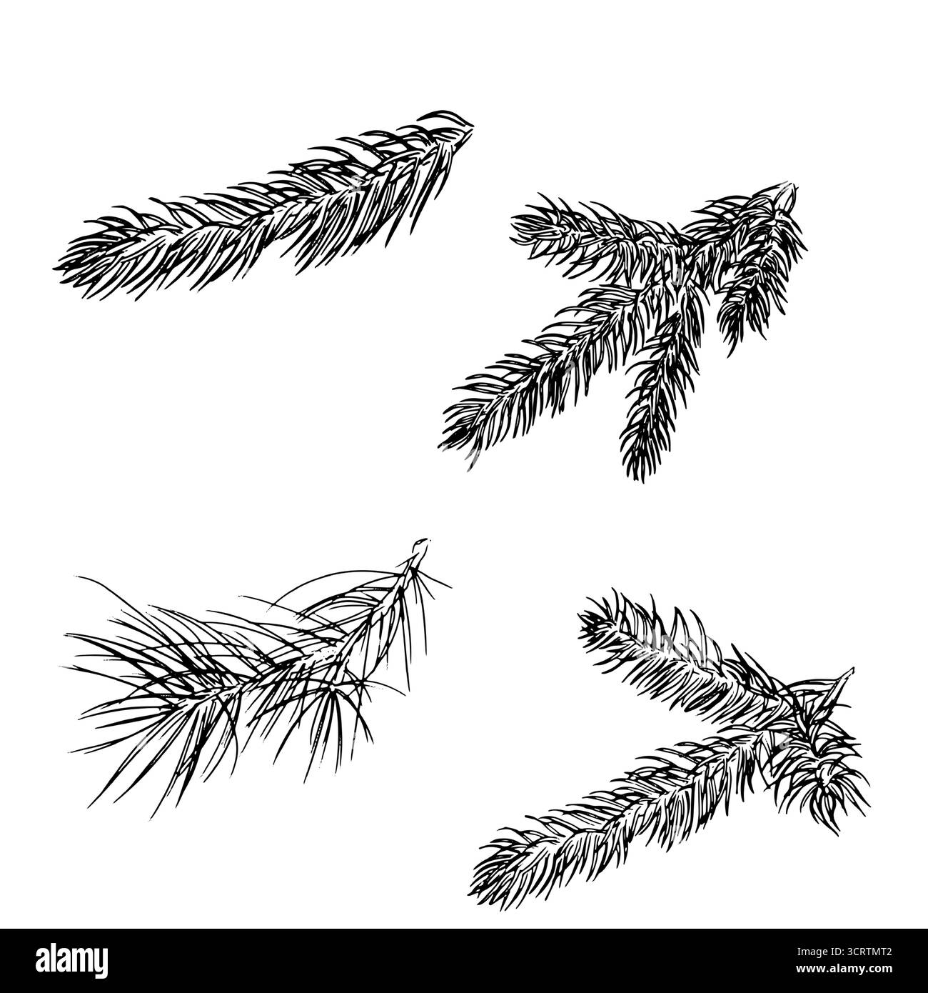 Soffice ramoscello di pino e abete rosso, schizzo. Illustrazione vettoriale. Una decorazione tradizionale natalizia, isolata su uno sfondo bianco. Per le cartoline, invita Illustrazione Vettoriale