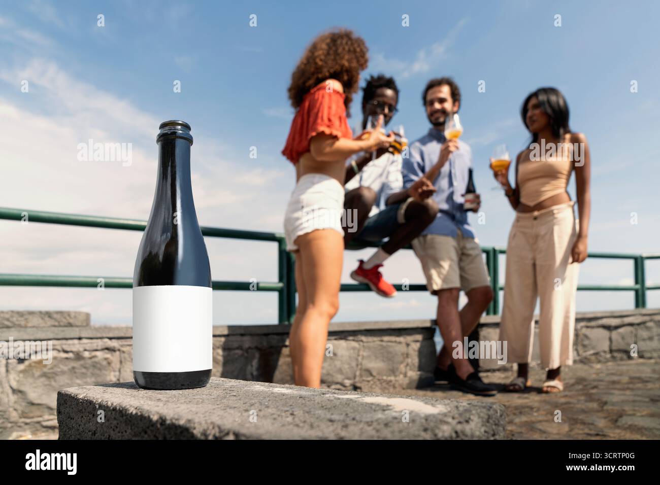 Bottiglia di birra con etichetta vuota su un muro di pietra all'aperto, con un gruppo multiculturale di amici che bevono birra artigianale sullo sfondo durante una giornata estiva Foto Stock