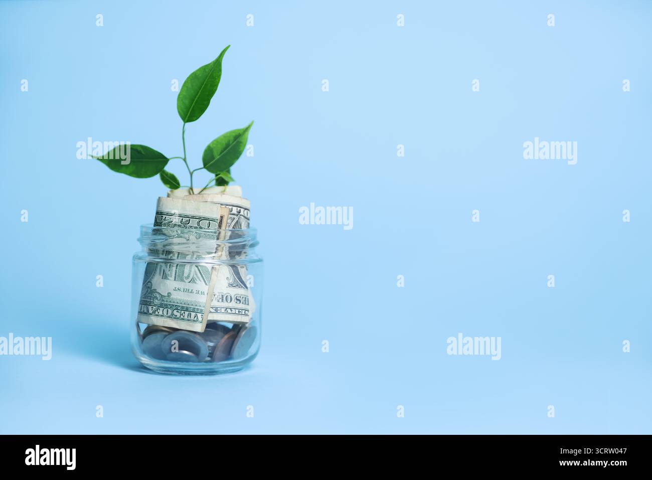 Vaso in vetro con germogli, monete e dollari su sfondo azzurro, spazio per testo Foto Stock