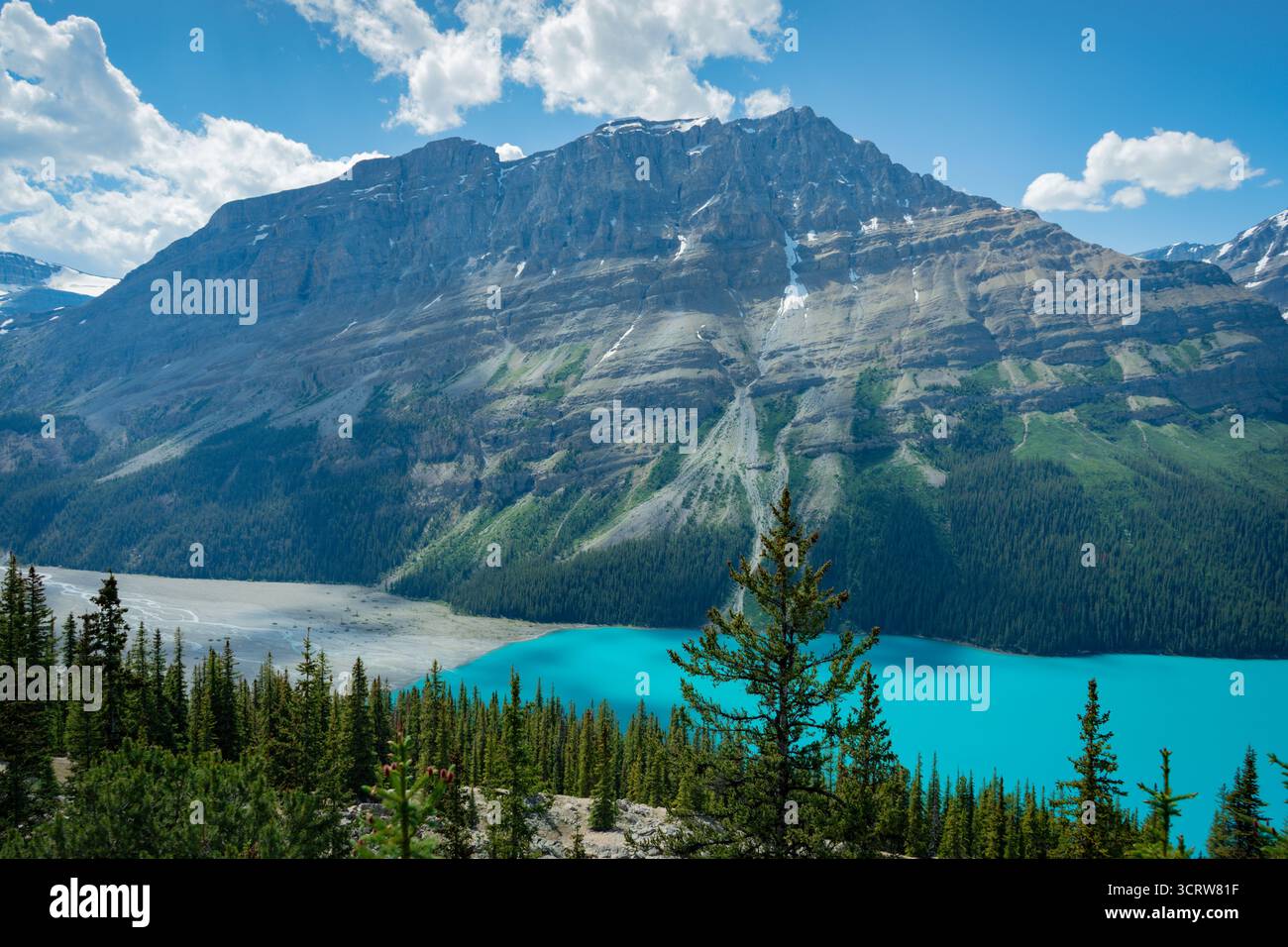 Maestosa catena montuosa affacciata su un vivace lago turchese e una foresta verde. Foto Stock