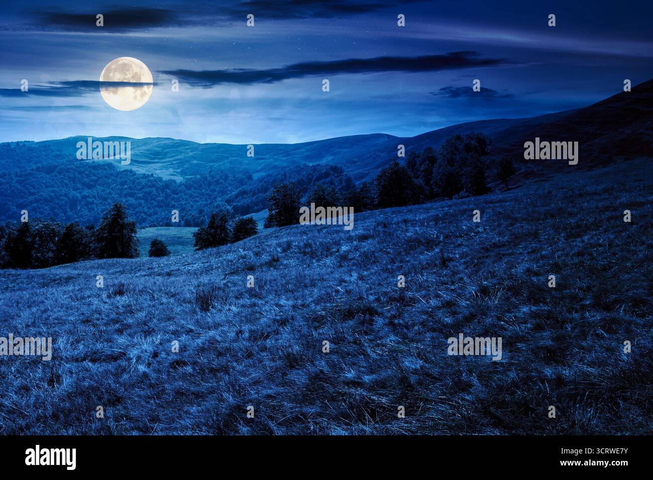calmo giorno d'autunno in montagna di notte. alberi decidui sulle colline erbose del crinale alla luce della luna piena. paesaggi alpini in autunno sotto il buio Foto Stock