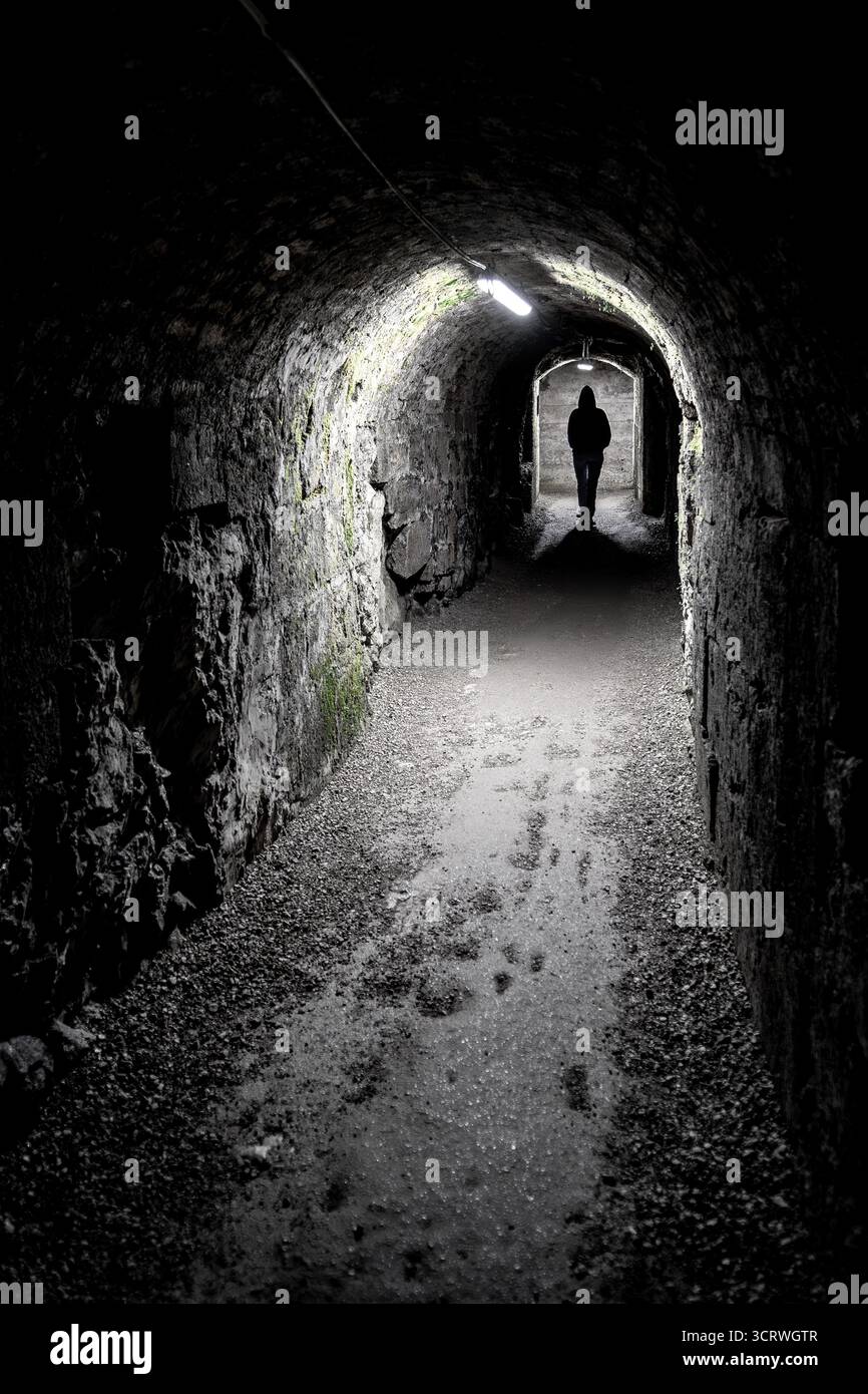 Silhouette di Una singola persona che cammina verso la porta attraverso il corridoio sotterraneo stretto scuro spettrale illuminato da luci al neon Foto Stock