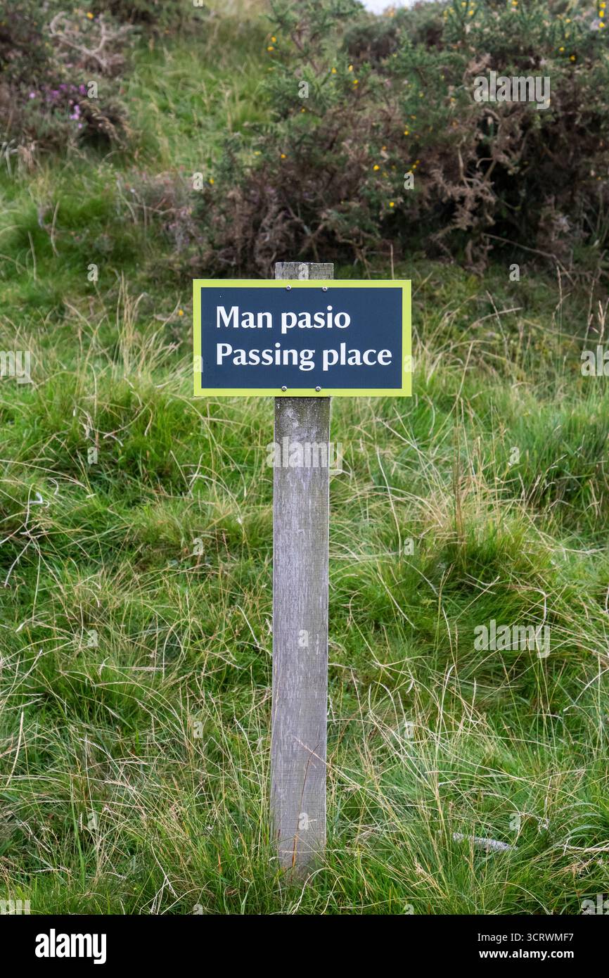 Cartello gallese "MAN Pasio" per "luogo di passaggio" su un palo vicino a una stretta strada di campagna che indica dove i veicoli possono passare in sicurezza. Segnali stradali per il Regno Unito. Foto Stock