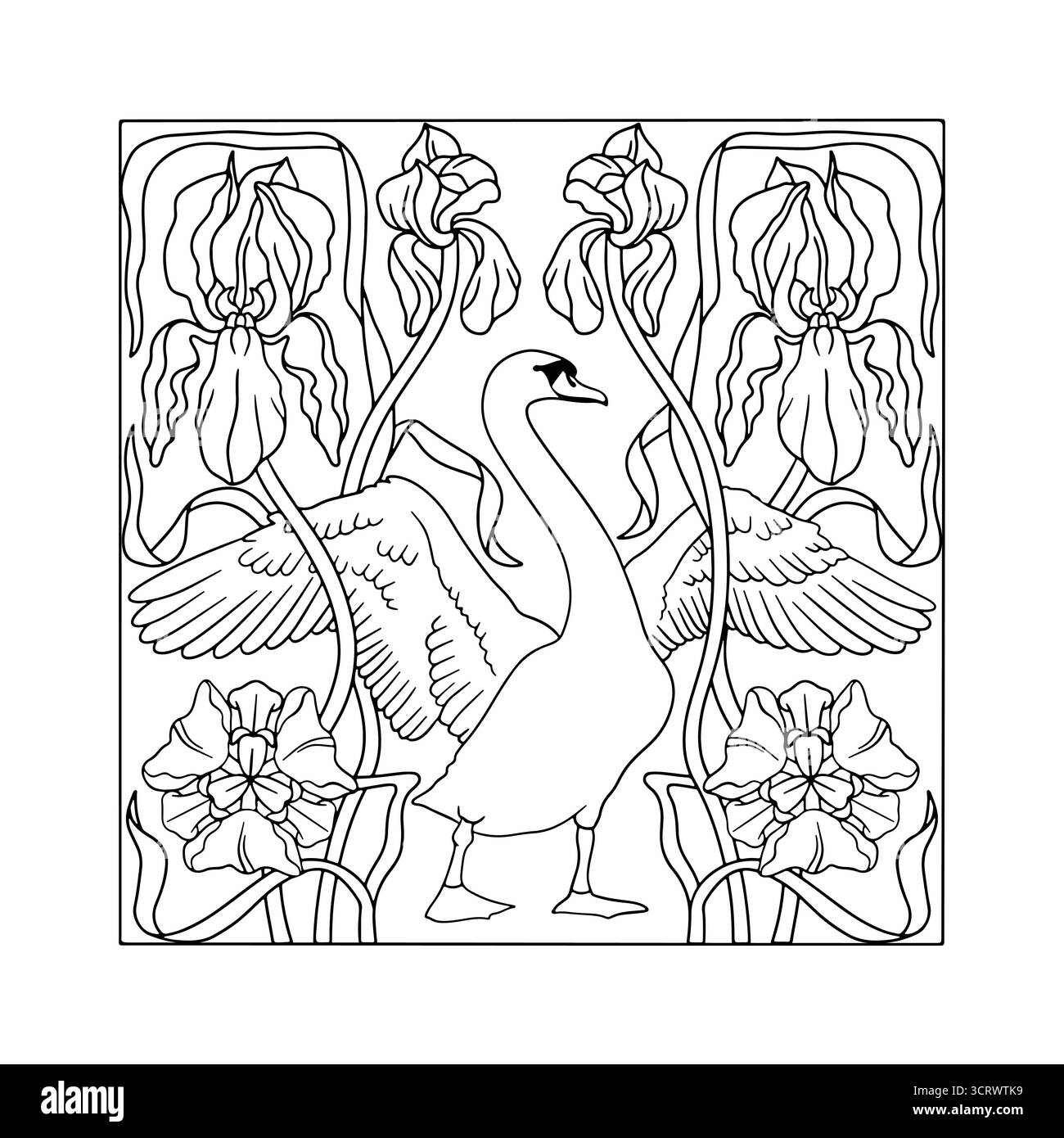 Stile art nouveau moderno elegante disegno a mano con fiori di cigno e Iris composizione simmetrica per colorare la pagina Illustrazione Vettoriale