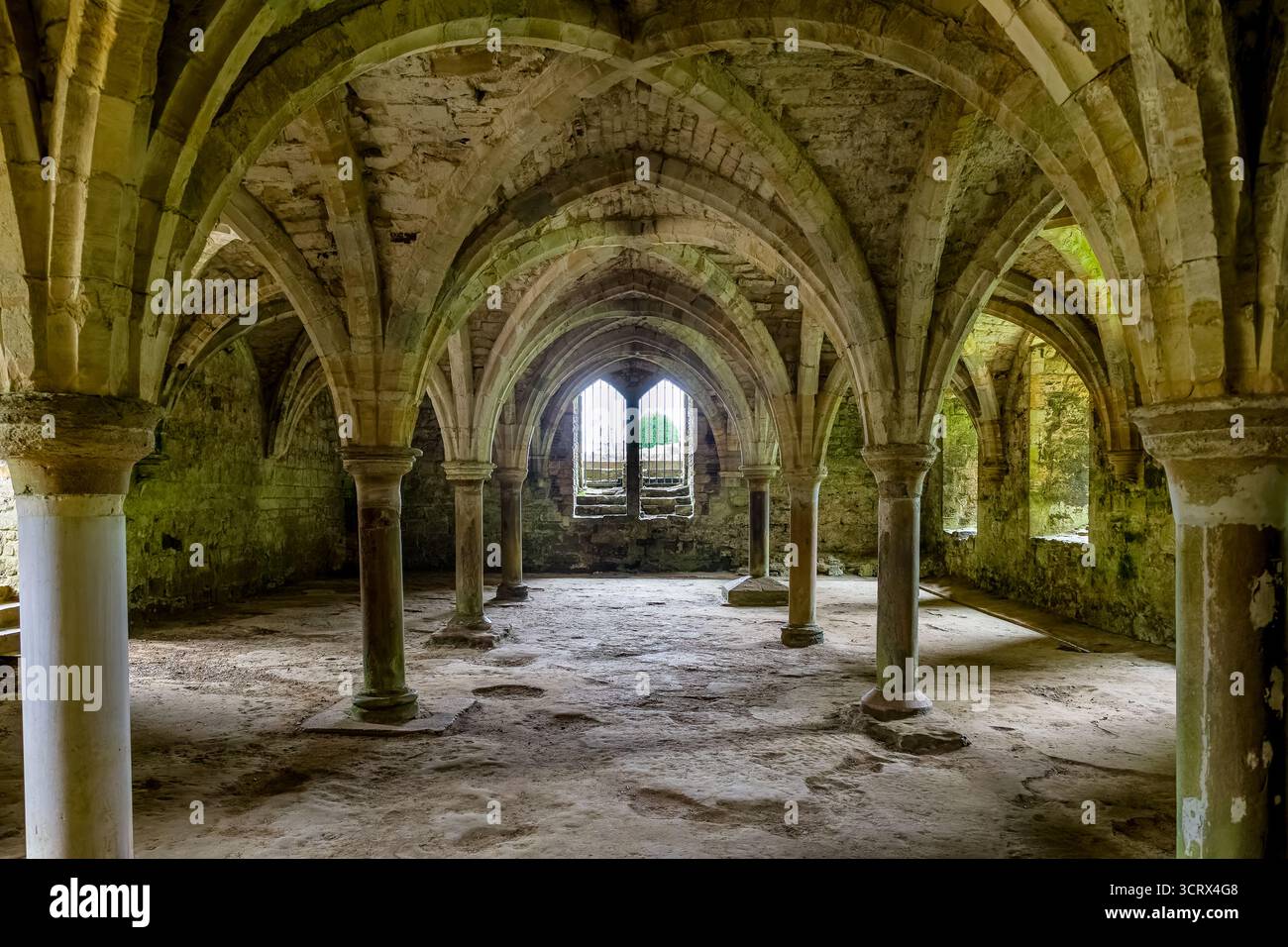 Archi simmetrici in pietra e soffitto a volta nel sottotetto medievale di Battle Abbey Foto Stock