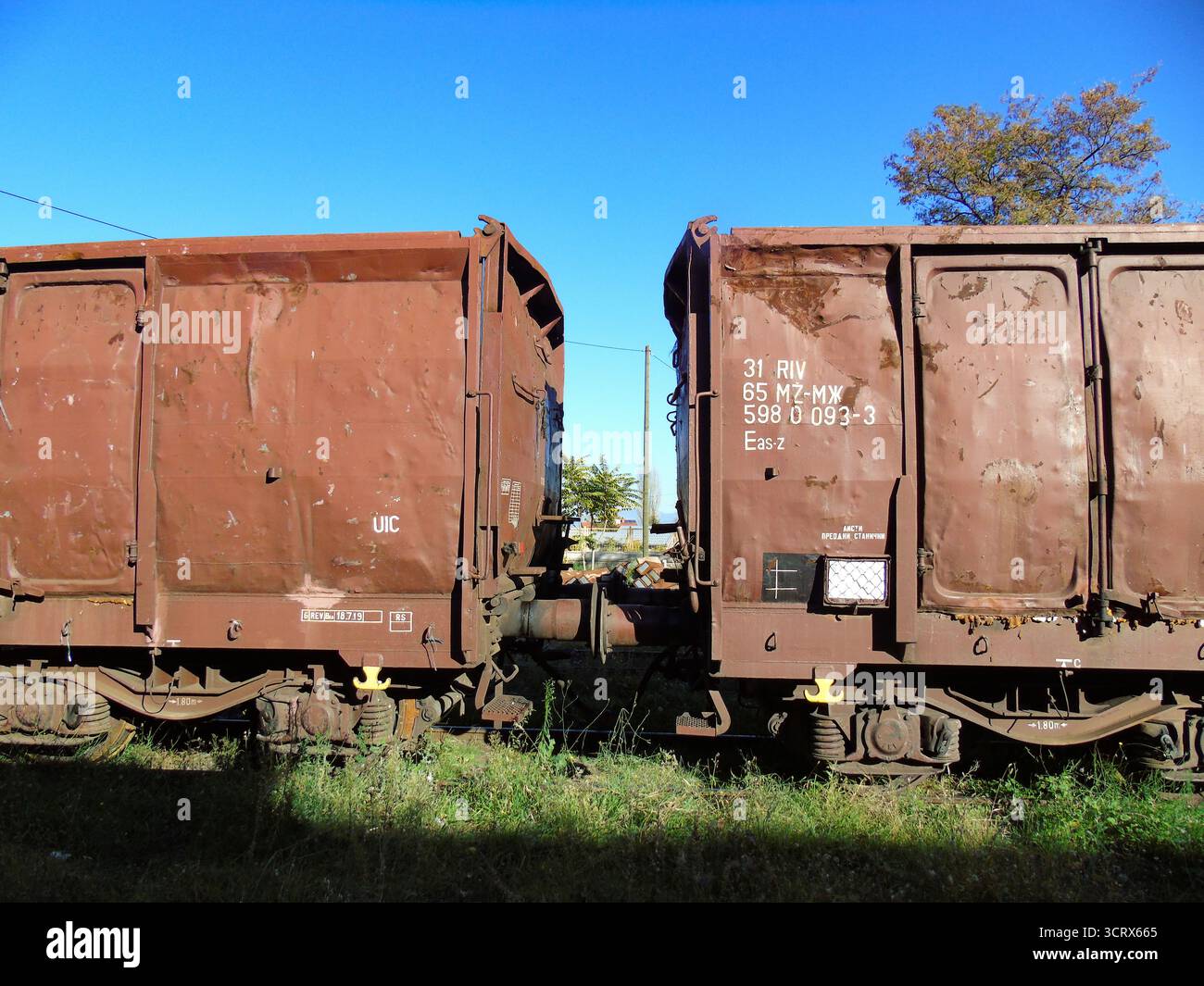 Due vagoni ferroviari arrugginiti in Macedonia Foto Stock