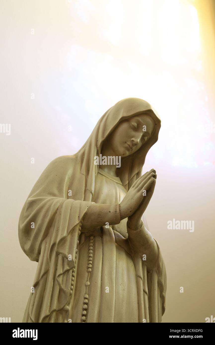 Vergine Maria, statua nella chiesa di San Giuseppe a Zagabria, Croazia Foto Stock