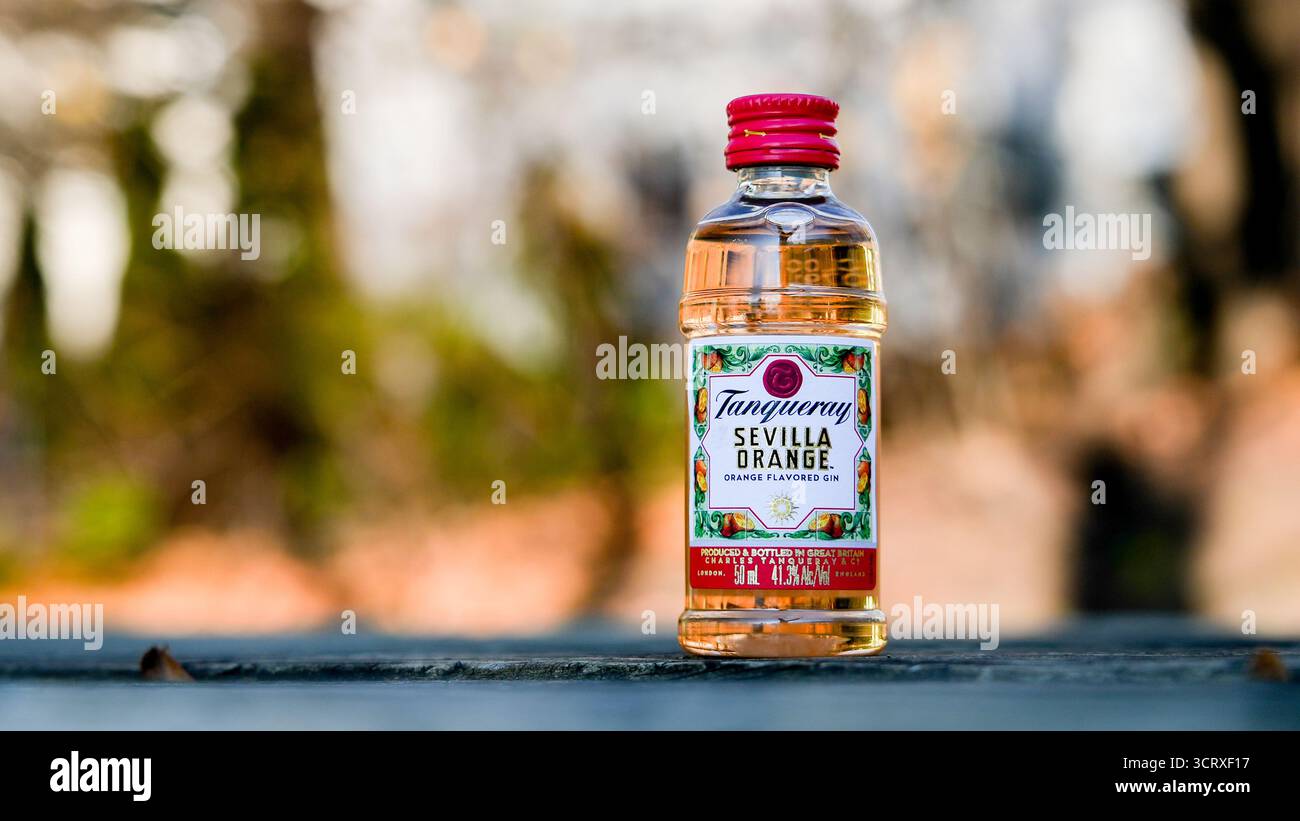 NORWALK, CT, USA - 30 NOVEMBRE 2023: Sevilla Orange dal marchio Tanqueray all'esterno su un tavolo di legno Foto Stock