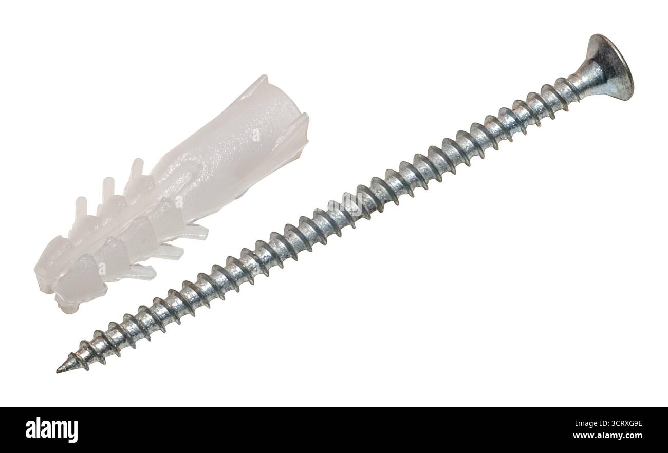 Tassello e vite in plastica isolati su sfondo bianco. Vite metallica posizionata accanto a un tassello bianco in plastica (tassello). Foto Stock