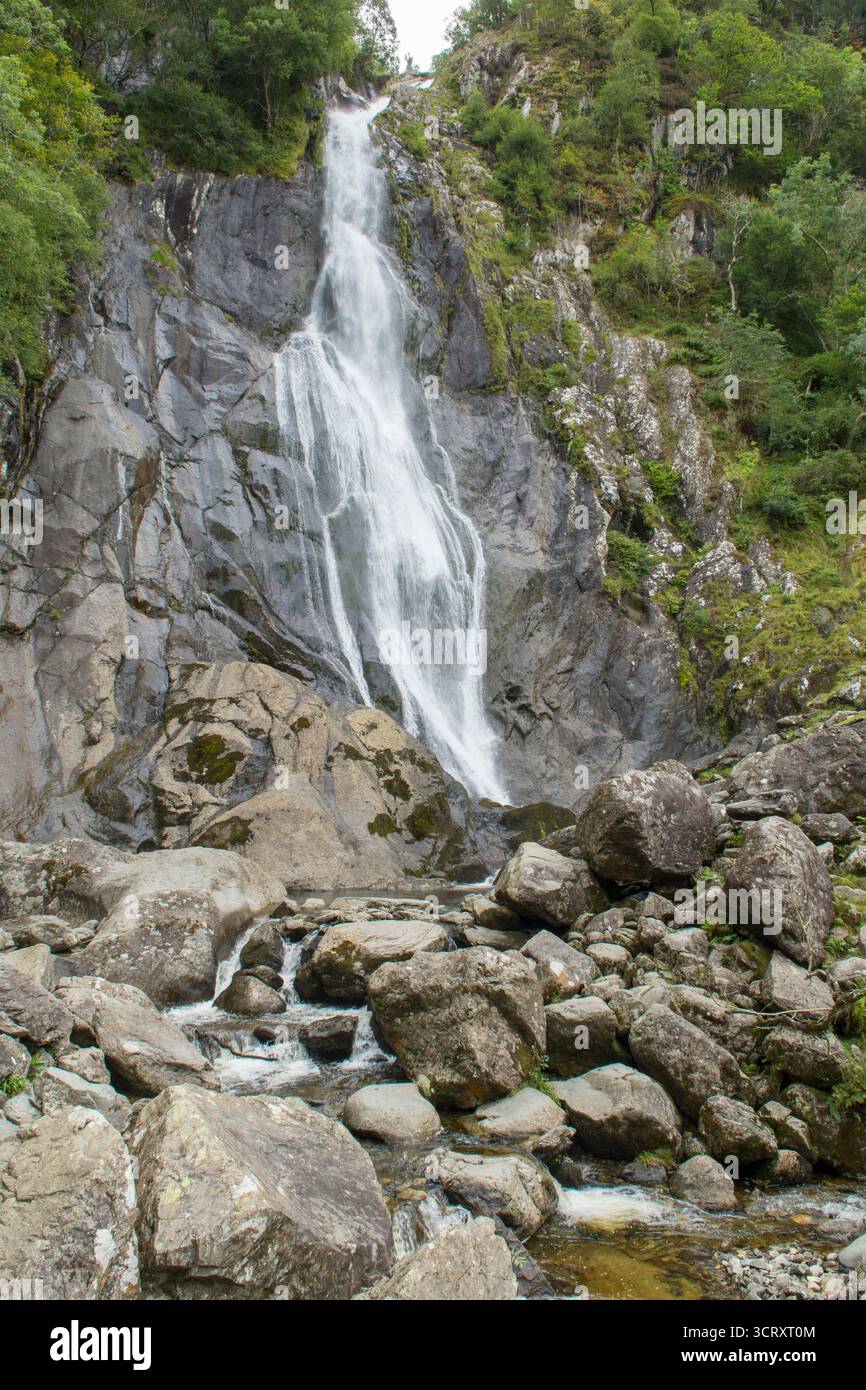 Aber Falls, Rhaeadr Fawr, alte cascate che si tuffano tra gli alberi e sfociano nel torrente, Snowdonia, settembre Foto Stock