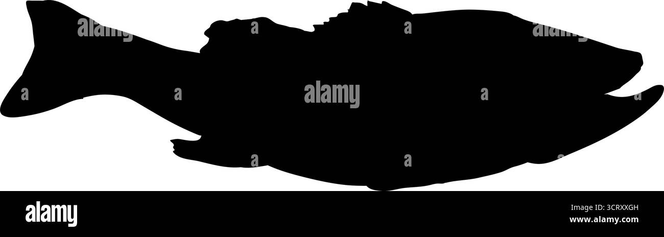 Vista laterale sagoma carpa di pesce Illustrazione Vettoriale
