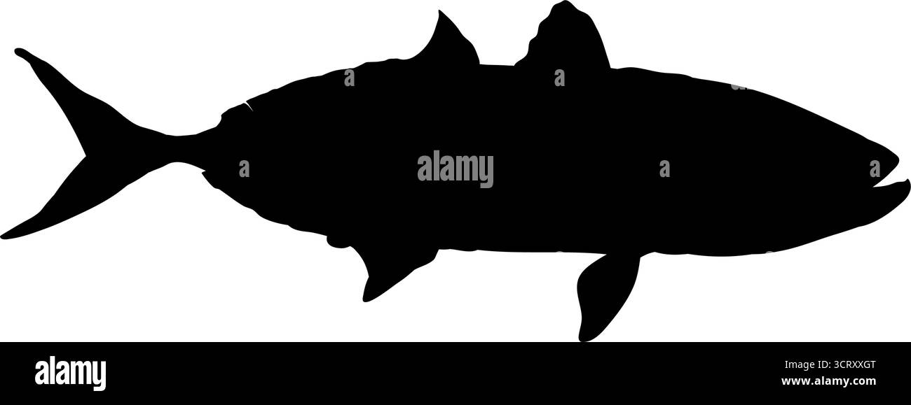 Vista laterale sagoma carpa di pesce Illustrazione Vettoriale