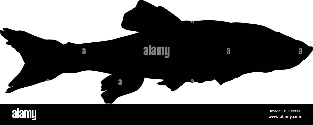 Vista laterale sagoma carpa di pesce Illustrazione Vettoriale