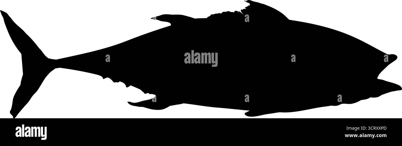 Vista laterale sagoma carpa di pesce Illustrazione Vettoriale