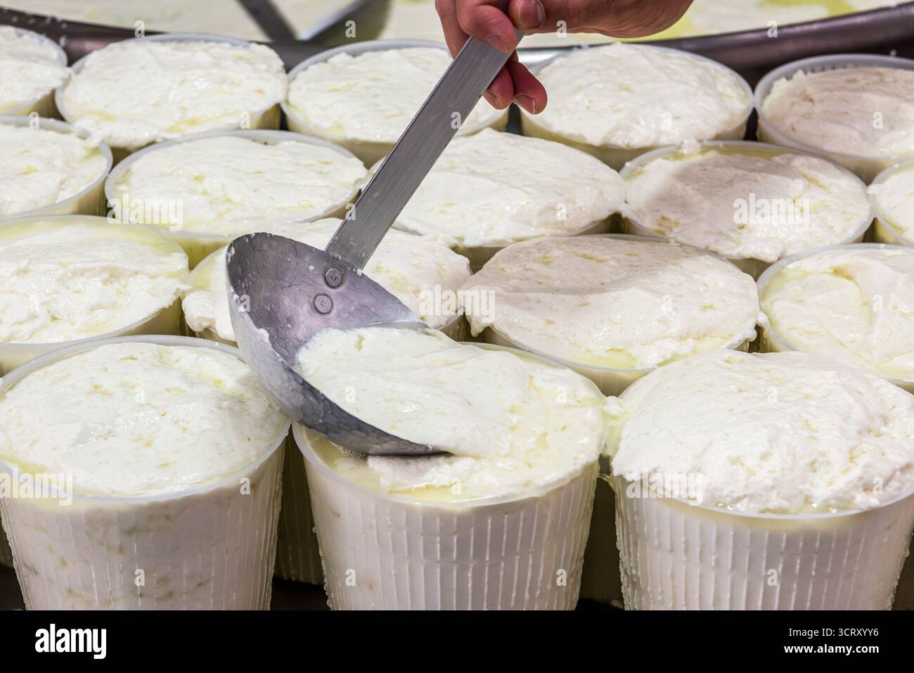 Produzione di ricotta in Sicilia, Italia Foto Stock