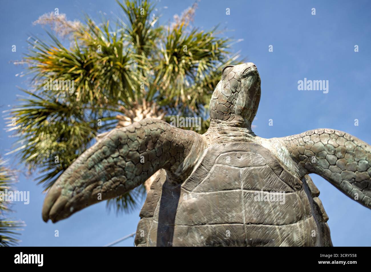 Scultura di Loggerhead Hatchling Isle of Palms Carolina del Sud // ISLE OF PALMS, Carolina del Sud — una delle sei sculture in bronzo di Loggerhead hatchling dell’artista di Charleston Scott Penegar si trova lungo Ocean Boulevard come parte della “Hatchling Hunt” della città (2019-2020). Ogni scultura è abbinata a una placca che spiega una fase della vita della testa di cavallo. Questa particolare stazione, contrassegnata con il numero 4: I campanelli nuotano, raffigura giovani tartarughe che sorgono, simboleggiando il loro pericoloso viaggio verso la corrente del Golfo. Il progetto di arte pubblica sottolinea l'impegno dell'isola per la conservazione delle tartarughe marine. Foto Stock