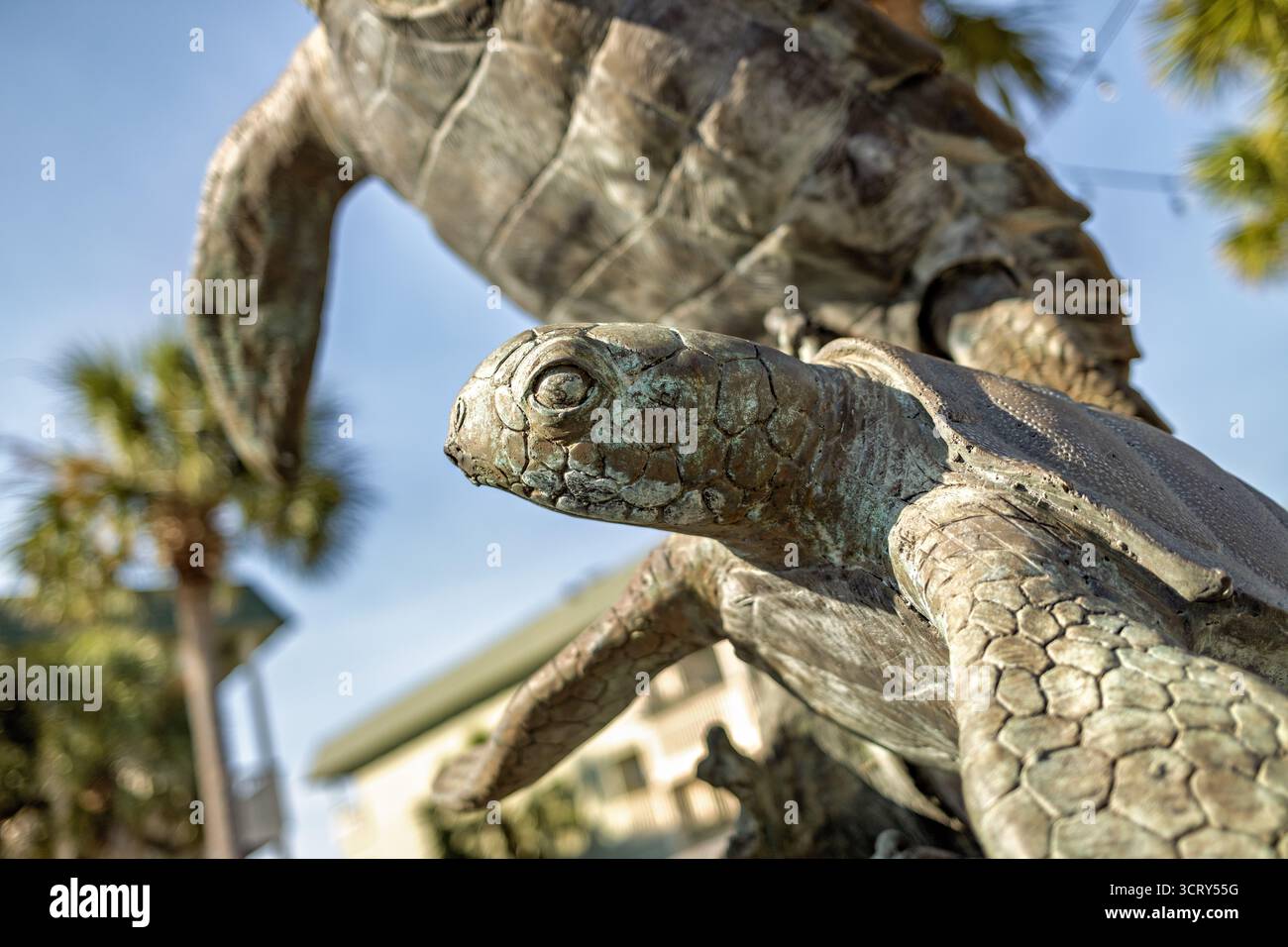Scultura di Loggerhead Hatchling Ocean Boulevard Isola di Palms Carolina del Sud // ISOLA DI PALMS, Carolina del Sud — Una scultura di bronzo di Loggerhead hatchling dell'artista di Charleston Scott Penegar è esposta su Ocean Boulevard. Fa parte della Hatchling Hunt (2019-2020), una serie di sei sculture. Ogni pezzo è accompagnato da una placca che illustra una fase del ciclo di vita della testa di legno. Questa specifica stazione, n. 4: I hatchlings Swim, raffigura giovani tartarughe che salgono attraverso forme ondeggianti. Mette in evidenza il loro pericoloso viaggio verso la corrente del Golfo e la dedizione della città alla conservazione delle tartarughe marine. Foto Stock