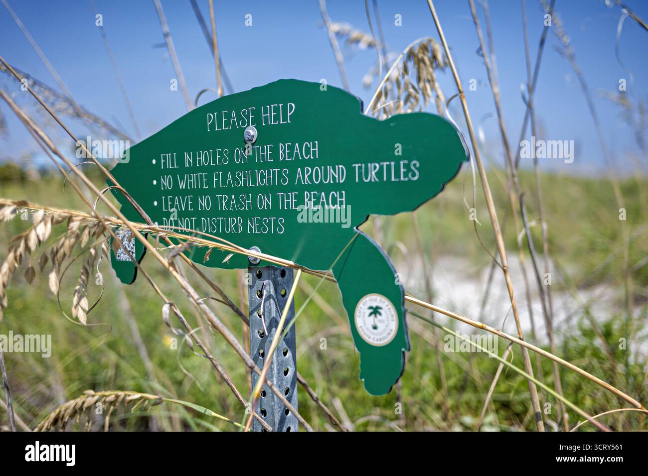 Insegna del sito di nidificazione delle tartarughe sulla spiaggia Isle of Palms South Carolina // ISLE OF PALMS, South Carolina - Un cartello a forma di tartaruga marina verde sulle dune di spiaggia fornisce istruzioni essenziali per proteggere i siti di nidificazione delle tartarughe marine. Il cartello, emesso dalla città dell'Isola di Palms, consiglia ai visitatori di riempire i buchi, evitare torce bianche intorno alle tartarughe, non lasciare spazzatura e non disturbare i nidi. Queste linee guida sono cruciali per la conservazione di varie specie di tartarughe marine, tra cui la tartaruga marina di Loggerhead, che nidifica comunemente lungo la costa della Carolina del Sud. Isle of Palms è una città isolana di Charl Foto Stock