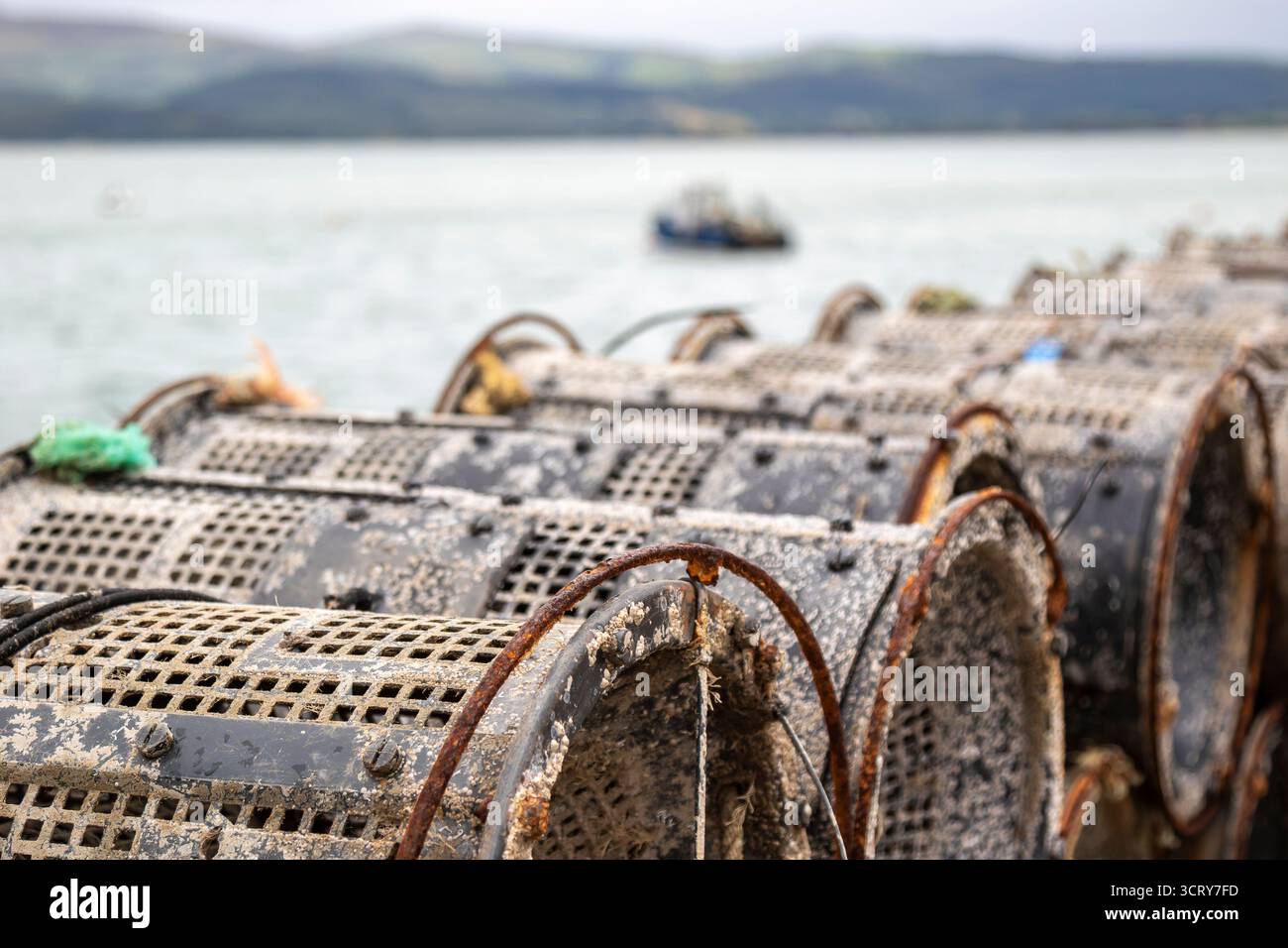 Vasi per la pesca di aragoste allineati su un molo di pesca con il mare e una barca sullo sfondo Foto Stock