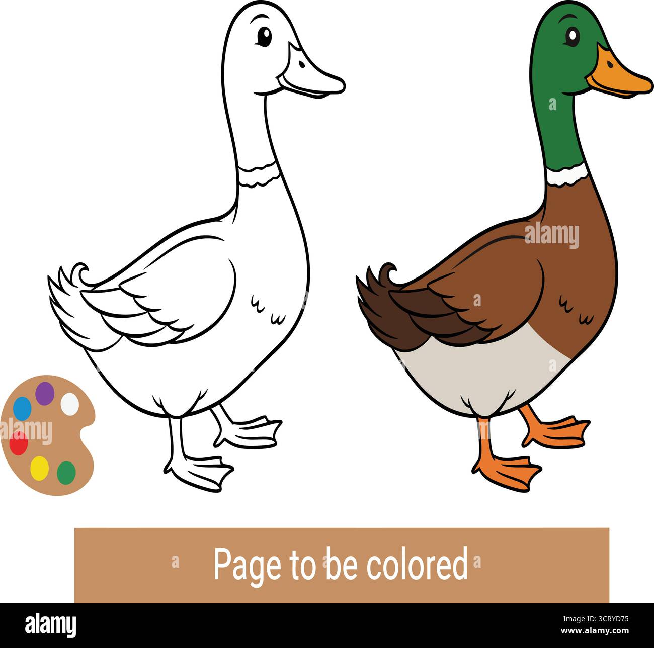Questa affascinante pagina colorata presenta un'anatra, con un lato delineato per colorare e l'altro con colori vivaci. Ideale per bambini Illustrazione Vettoriale