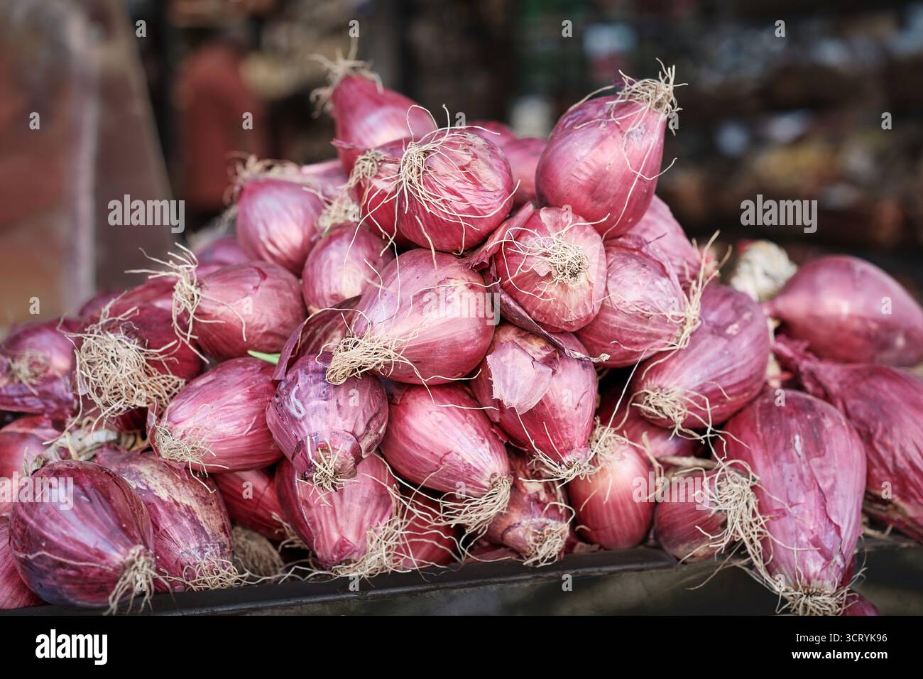 Cipolle rosse calabresi impilate insieme, cipolle tradizionali di Tropea, verdure biologiche ideali per i concetti di cibo e agricoltura. Foto Stock