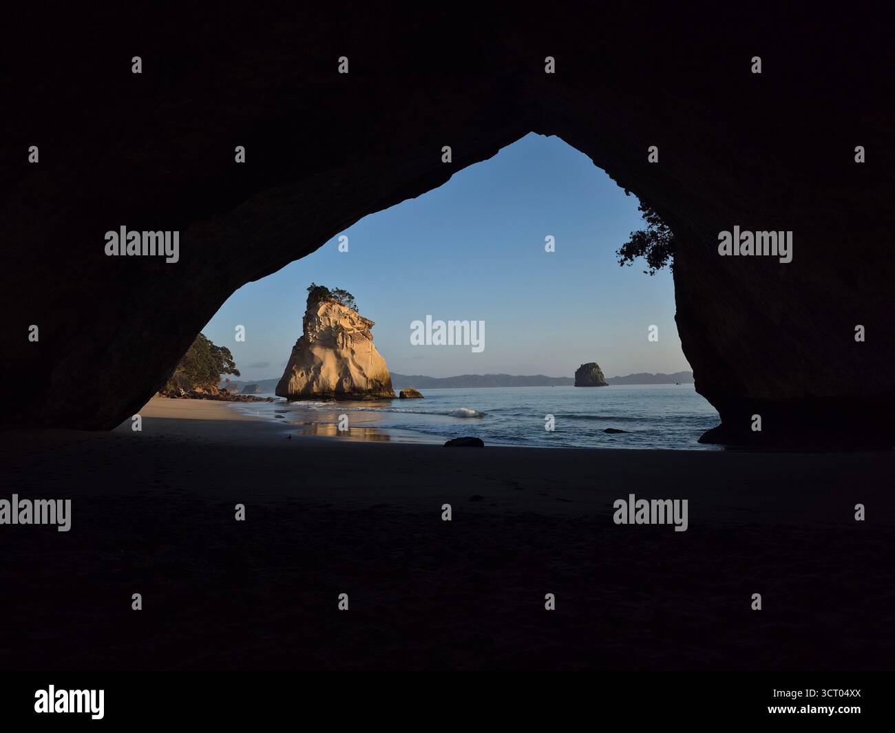 Coromandel, Cathedral Cove Beach, città di Hahei. L'alba della Cathedral Cove Beach. Foto Stock