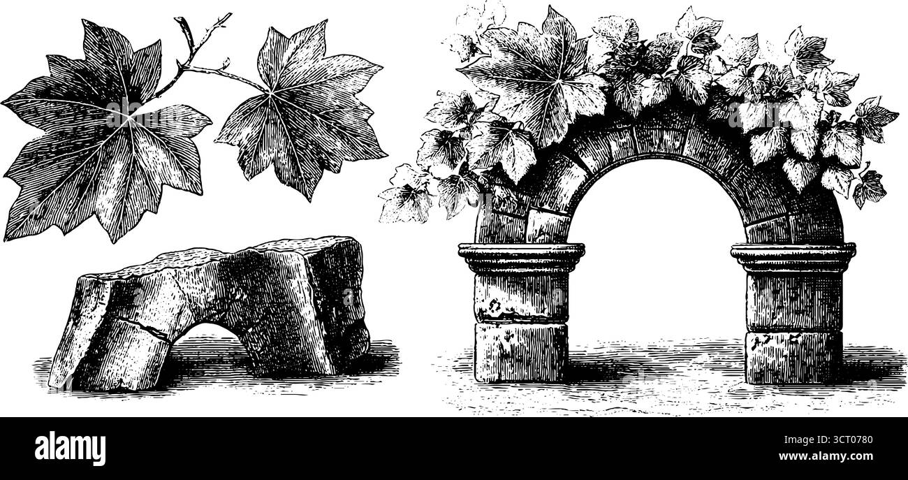 Incisione vintage dell'arco spezzato con edera e dettagli in foglia per progetti di design. Illustrazione Vettoriale