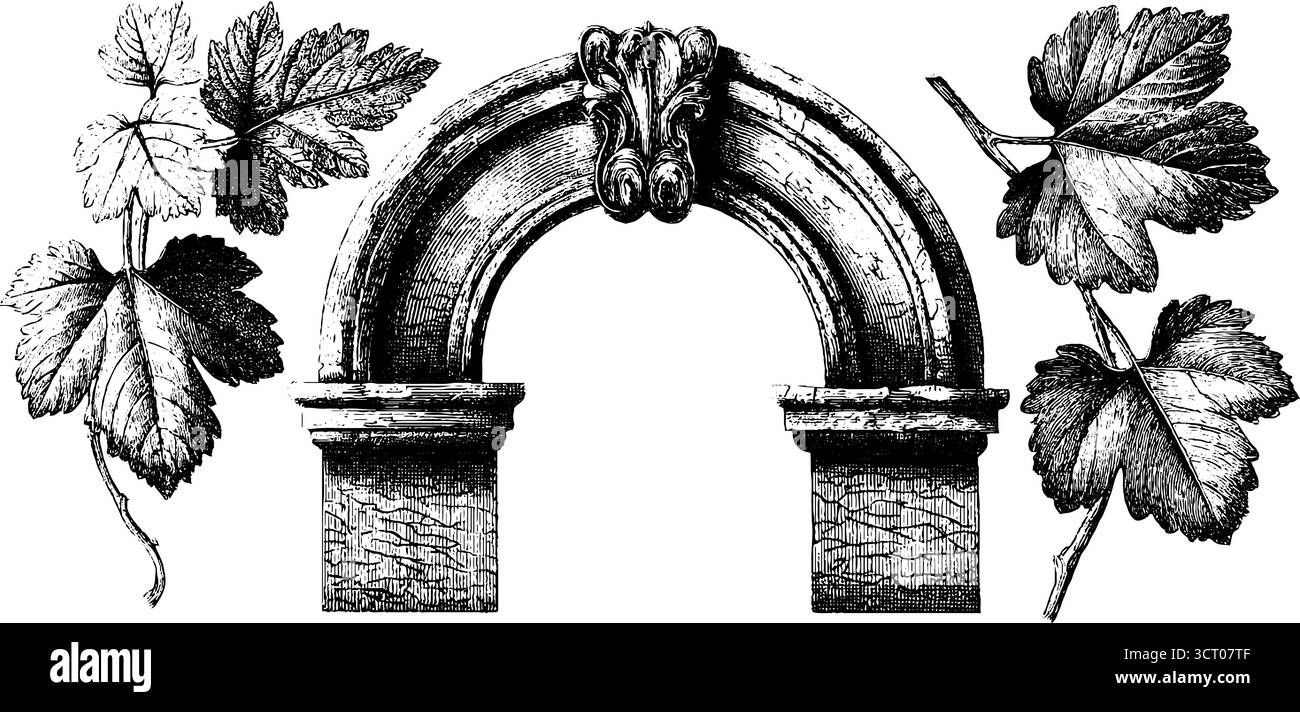 Illustrazione vintage incisa di arco rotto e set ivy per un design retrò. Illustrazione Vettoriale
