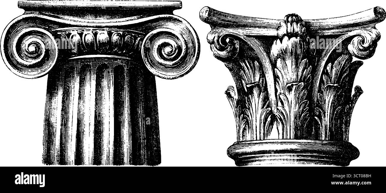Set di illustrazioni architettoniche incise di capitelli dorici e corinzi per design e decorazione. Illustrazione Vettoriale