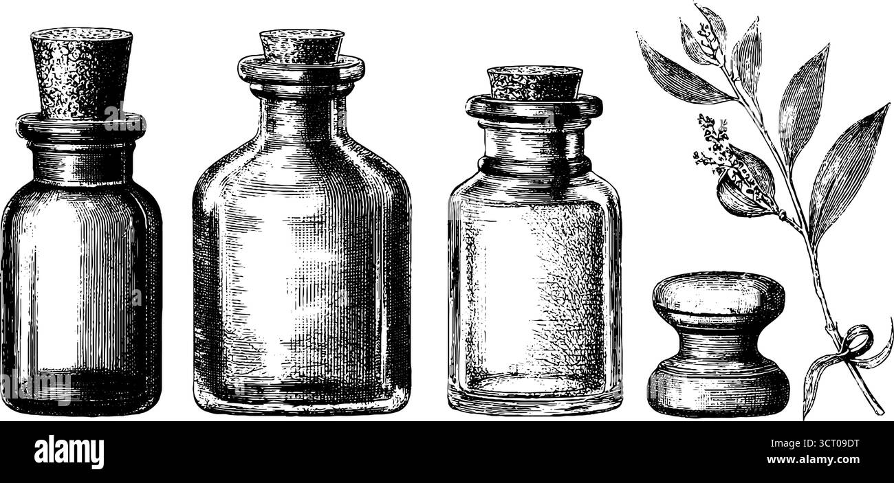 Set di bottiglie d'olio essenziali con incisioni vintage e elementi botanici - design per aromaterapia e temi benessere. Illustrazione Vettoriale