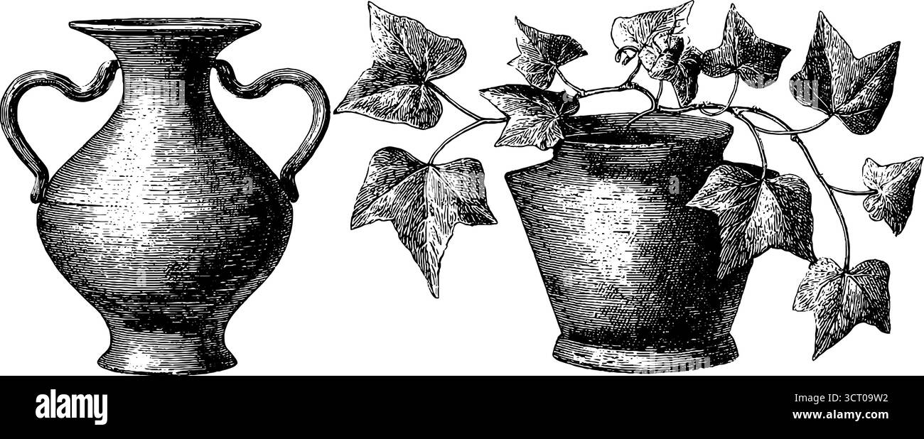 Set di illustrazioni incise di vasi idrici con edera per un design vintage. Illustrazione Vettoriale