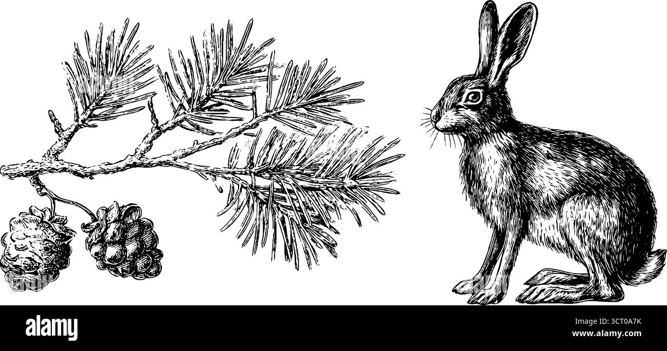 Set illustrativo vintage con incisioni di lepre e ramoscello di pino per un design retrò. Illustrazione Vettoriale