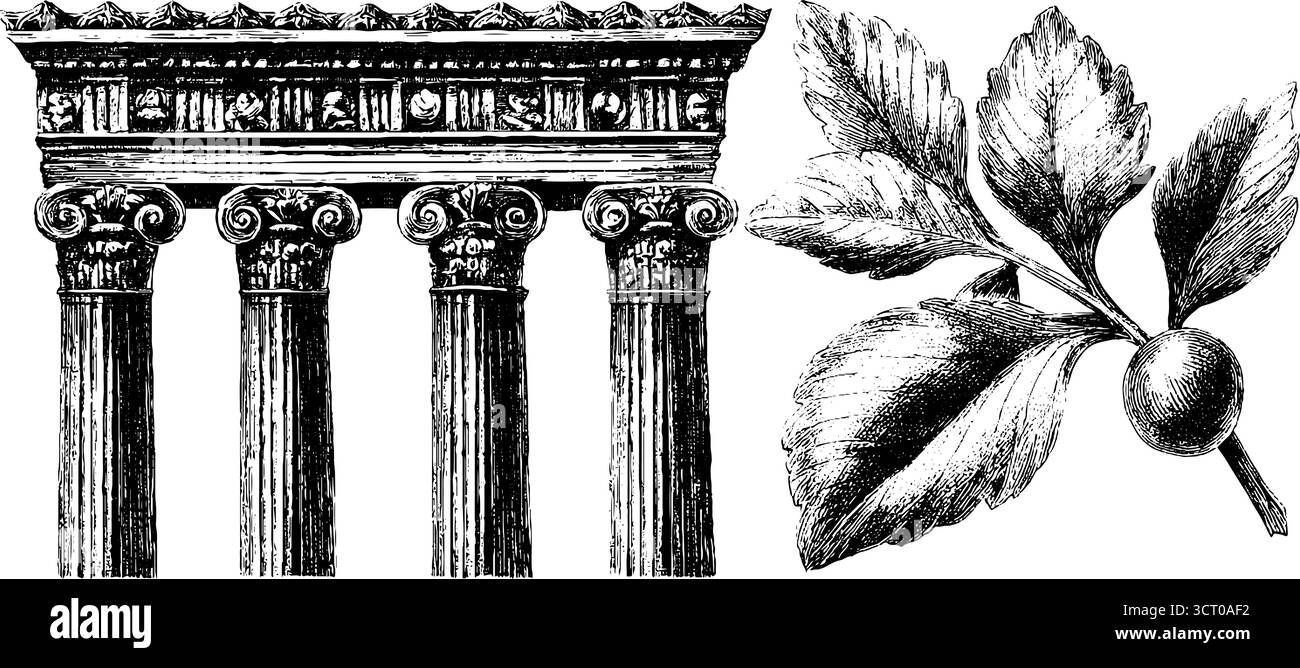 Facciata classica del tempio greco e incisione del ramo d'ulivo allestita per un design storico. Illustrazione Vettoriale