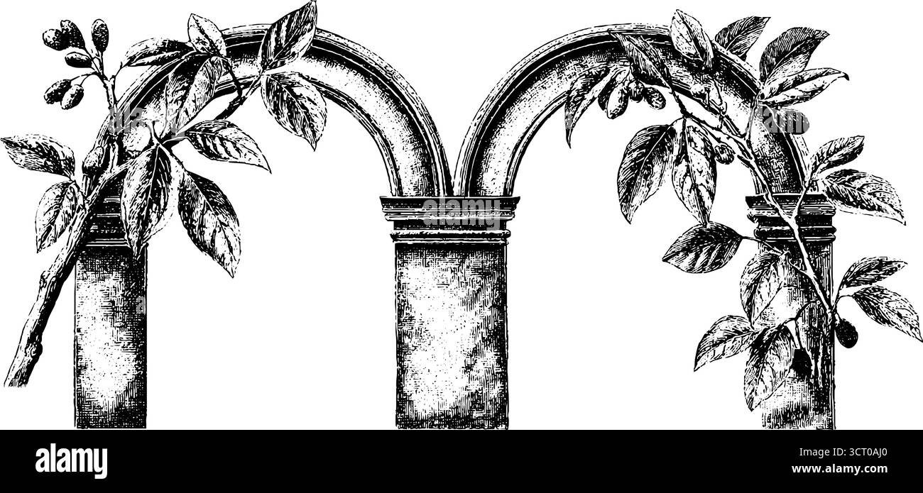 Elegante illustrazione incisa di arco in marmo con foglie di alloro per un design vintage. Illustrazione Vettoriale