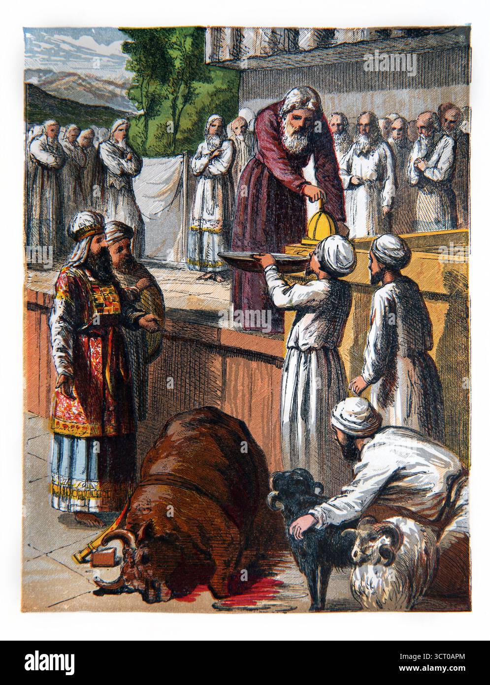 Illustrazione dipinta a mano di Mosè che consacra Aaron, 19th Century Sunday Pictorial Reading del reverendo William Owen volume One Foto Stock