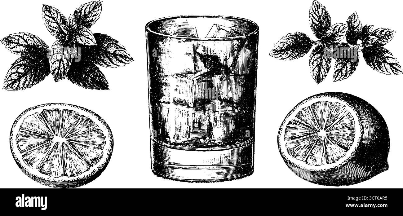 Set vintage in vetro mojito inciso con foglie di menta e lime per un cocktail di design. Illustrazione Vettoriale