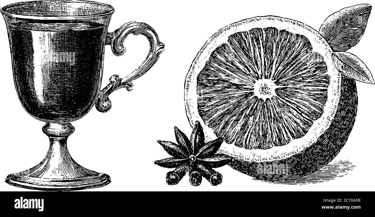 Set vintage inciso di calice di VIN brulé con agrumi e spezie per un design natalizio. Illustrazione Vettoriale