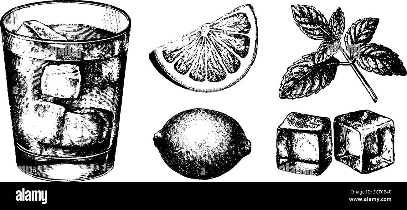 Set inciso di vetro mojito, lime, foglie di menta e cubetti di ghiaccio per un design retrò delle bevande. Illustrazione Vettoriale