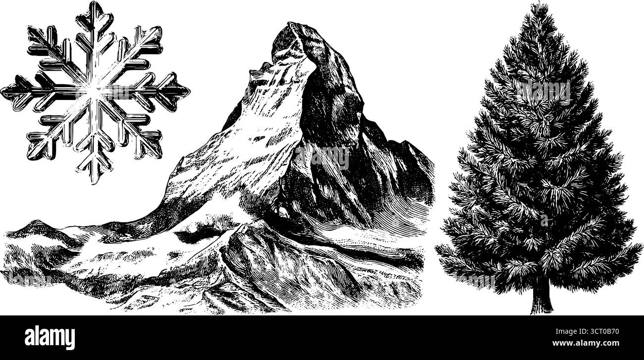 Collezione incisa di cime, fiocchi di neve e pini per il design della natura. Illustrazione Vettoriale