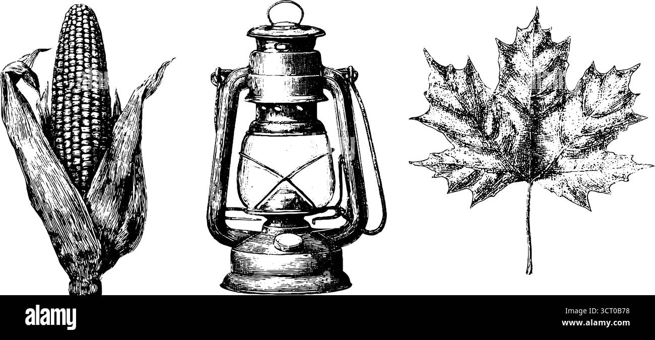 Collezione vintage incisa di lanterne, mais e illustrazioni di foglie per un design retrò. Illustrazione Vettoriale