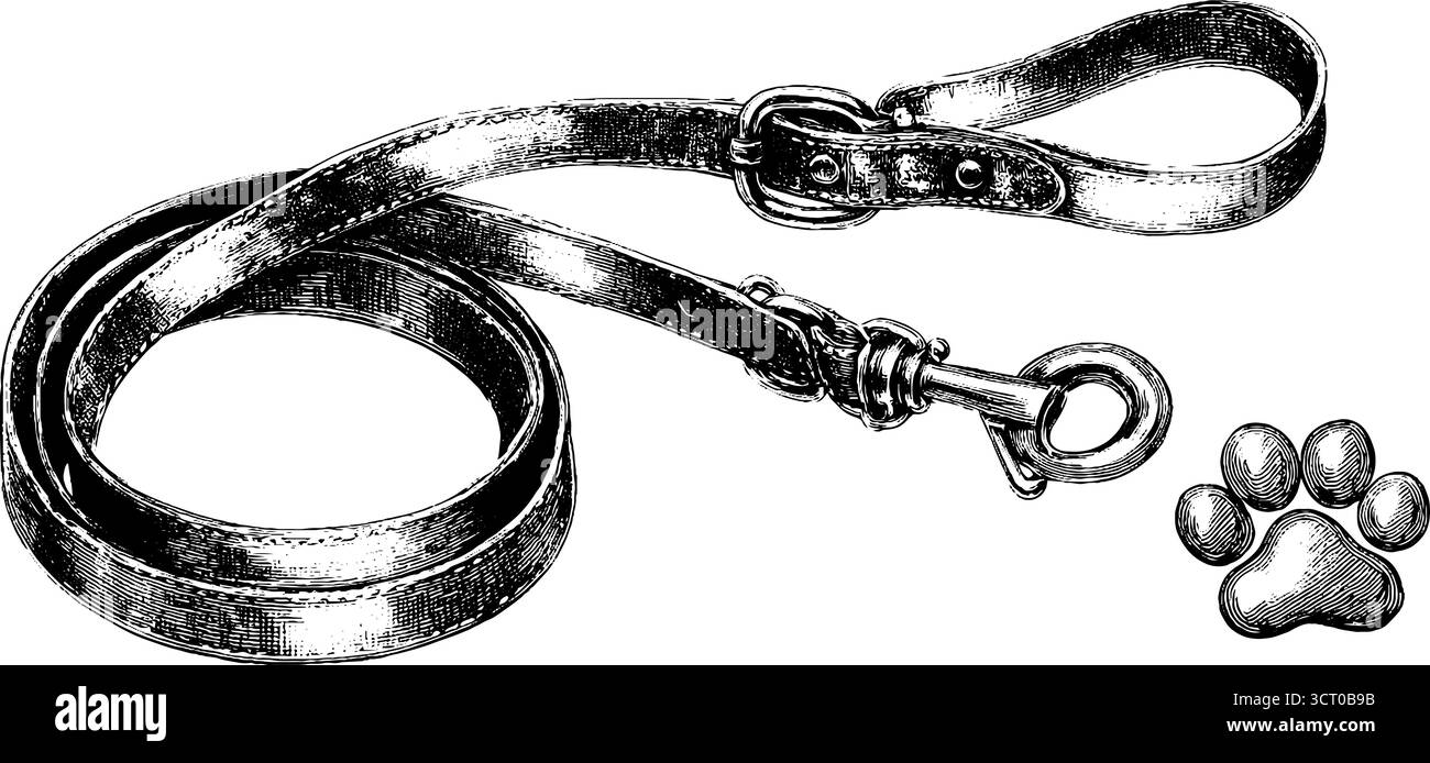 Set di illustrazioni vintage con incisioni, guinzaglio e imbracatura per animali domestici, perfetto per il design retrò e gli amanti degli animali. Illustrazione Vettoriale