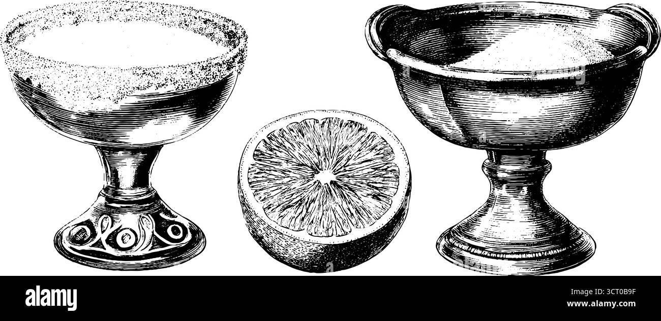 Set di illustrazioni vintage incise in vetro margarita e fette di agrumi per design e decorazione. Illustrazione Vettoriale
