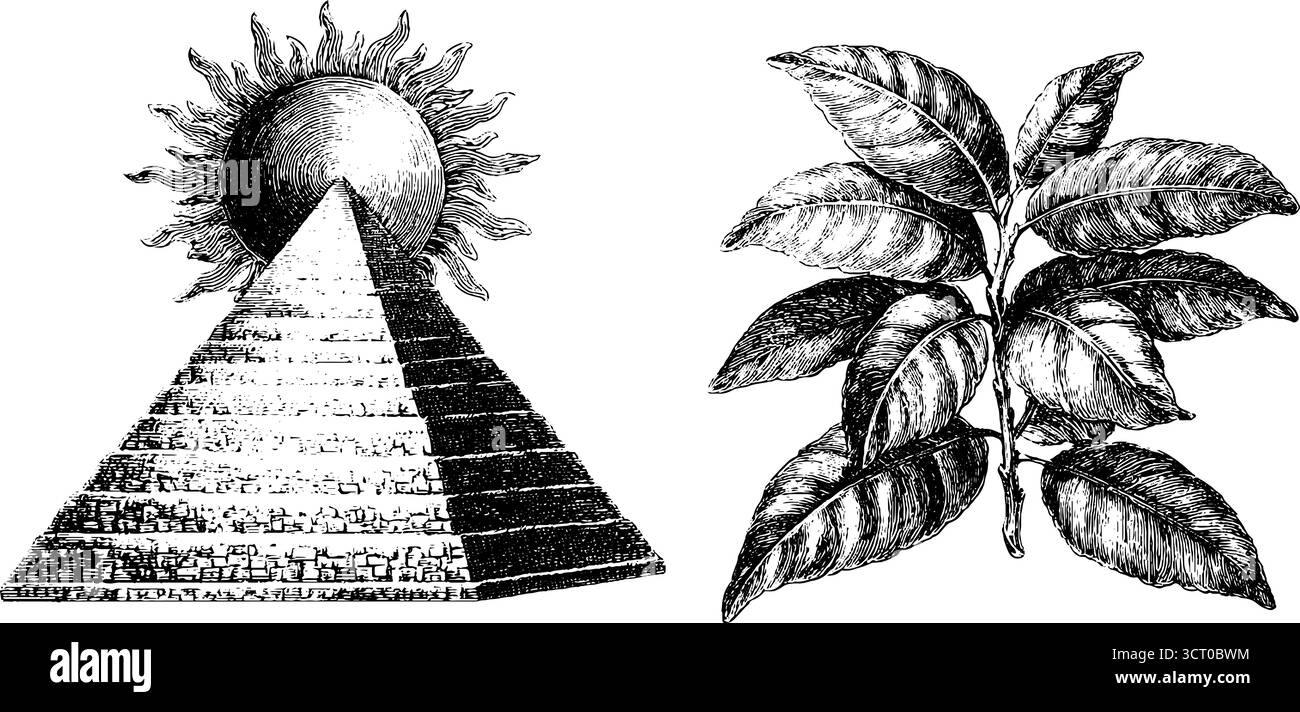 Set di illustrazioni incise con silhouette a piramide e a foglia per design e decorazione. Illustrazione Vettoriale