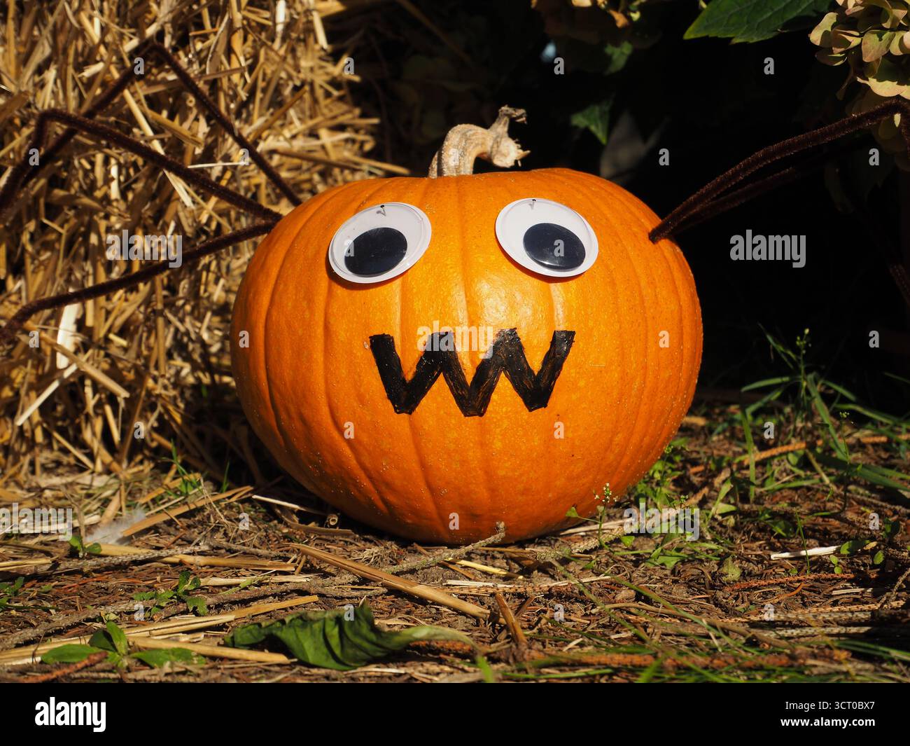 Zucca sorridente con gli occhi davanti a una balla di fieno come divertente decorazione verticale autunnale Foto Stock