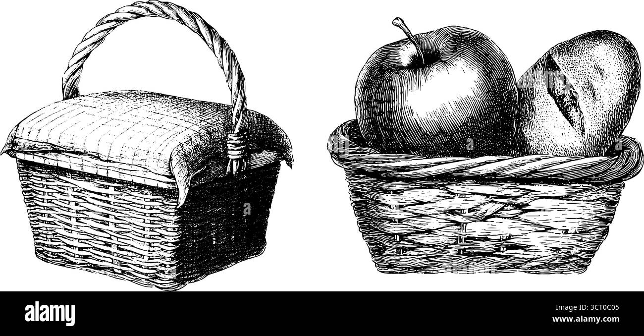 Set illustrativo vintage con incisioni e cestino da picnic con frutta e pane per un design retrò. Illustrazione Vettoriale